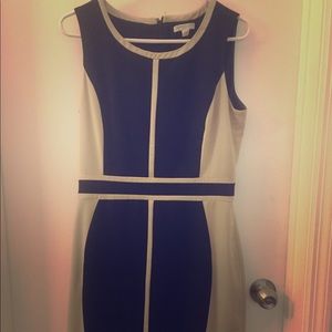 Professional Work Dress- Black and Beige
